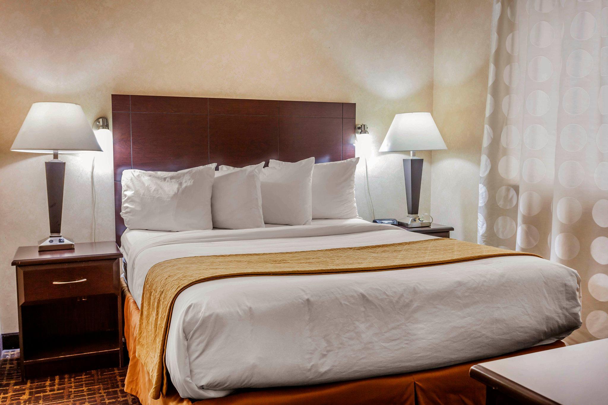 Quality Inn Arlington Extérieur photo